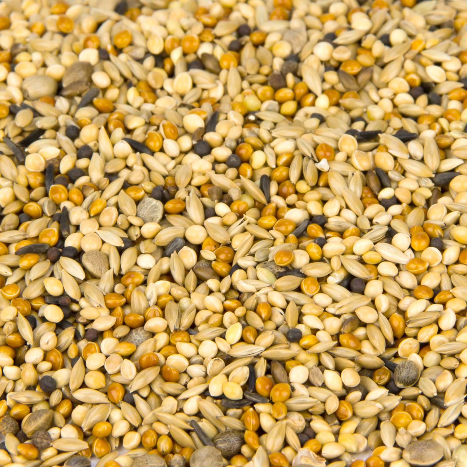 Leimüller amestec de semințe pentru porumbei și prepelițe 25 kg