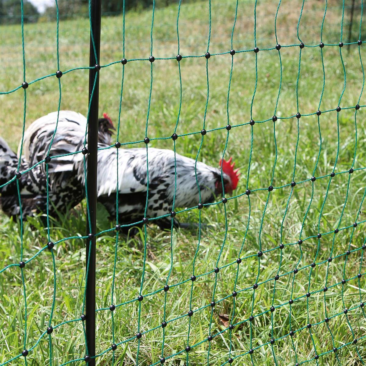 Kerbl Poultrynet plasă pentru păsări de curte verde 112cm