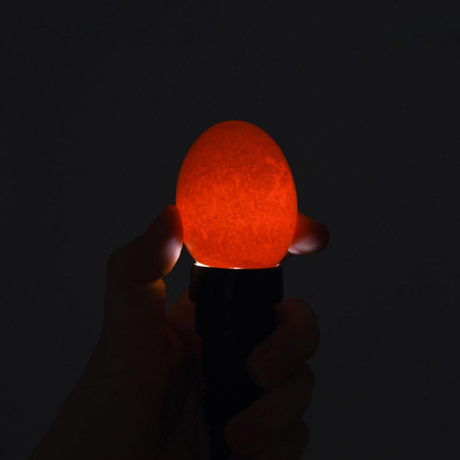 Lampa de strigare cu LED-uri pentru oua