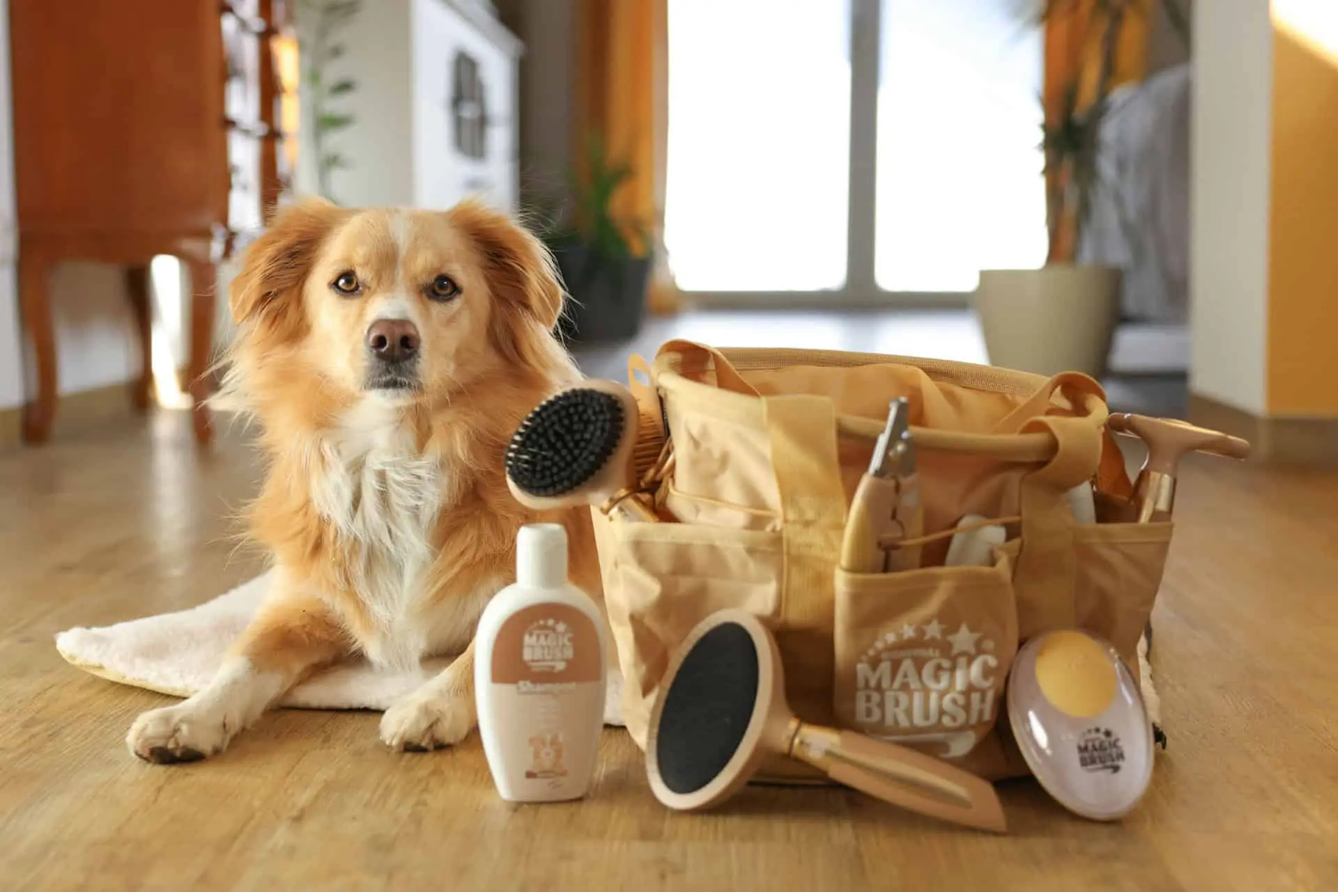 MagicBrush șampon pentru câini blană ușoară 200 ml