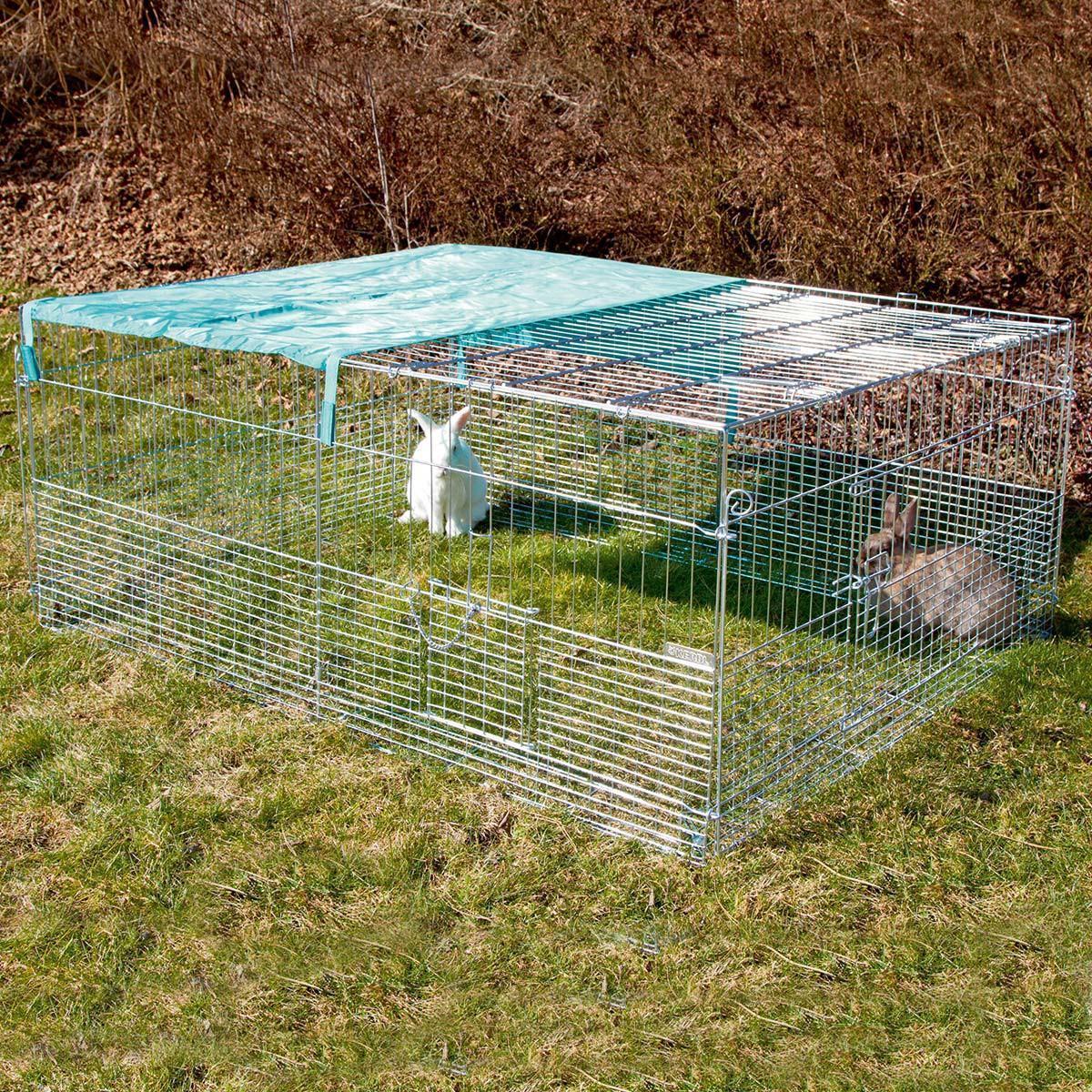 Cuscă pentru animale tinere, cu barieră de evacuare Cuscă pentru animale tinere, cu barieră de evacuare