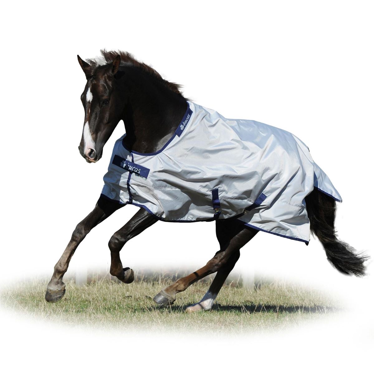 Bucas Sun-Shower pătură pentru cai Bucas Sun-Shower pătură pentru cai