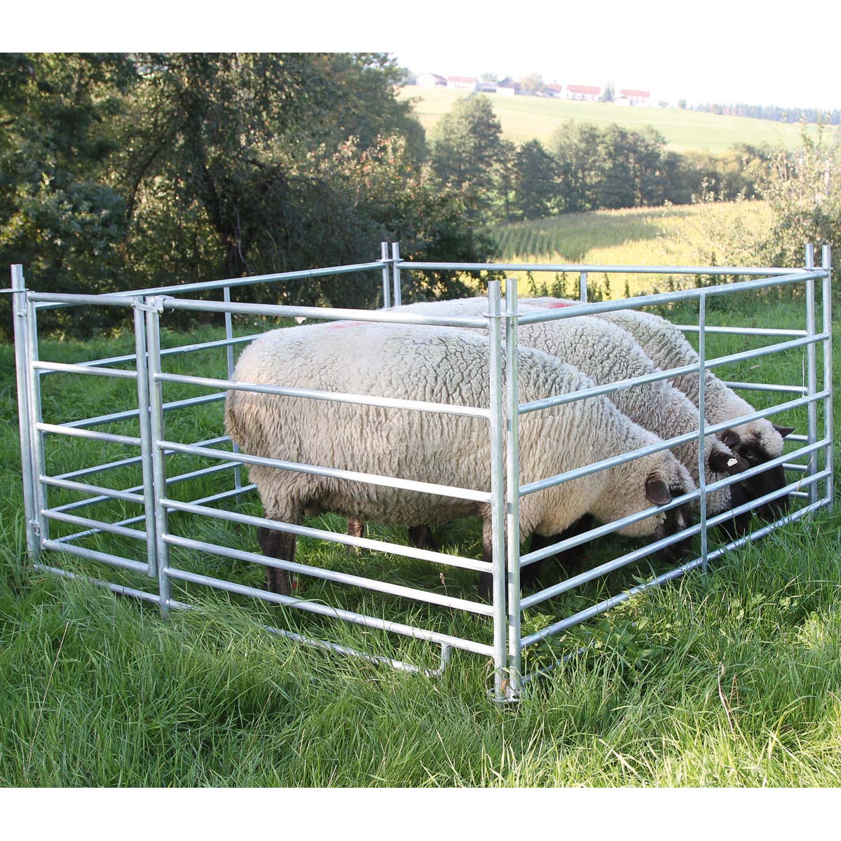 4x Panouri pentru oi pentru miei cu poartă 1,83 x 0,92 m