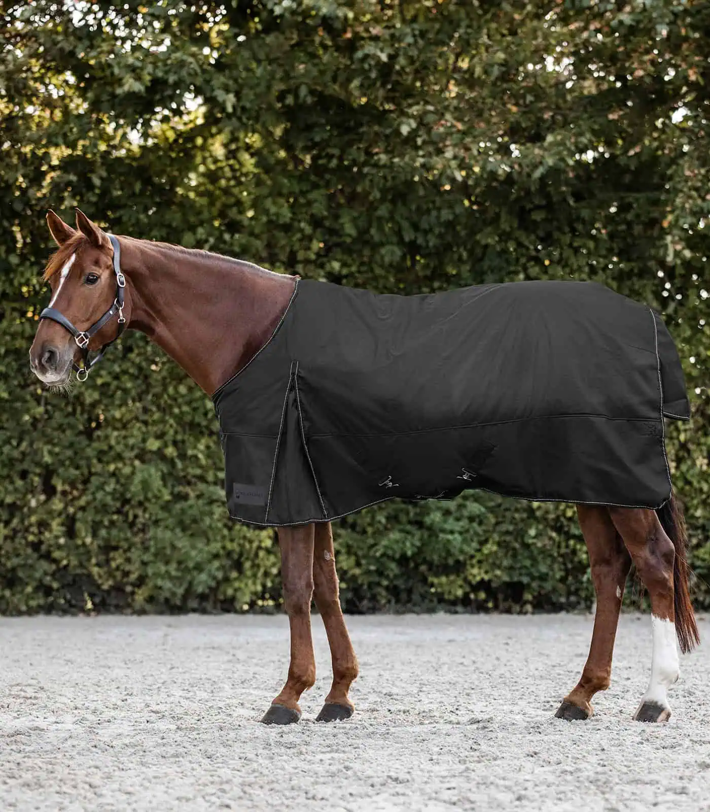 NORDIC Turnout Rug, 100 g black 95