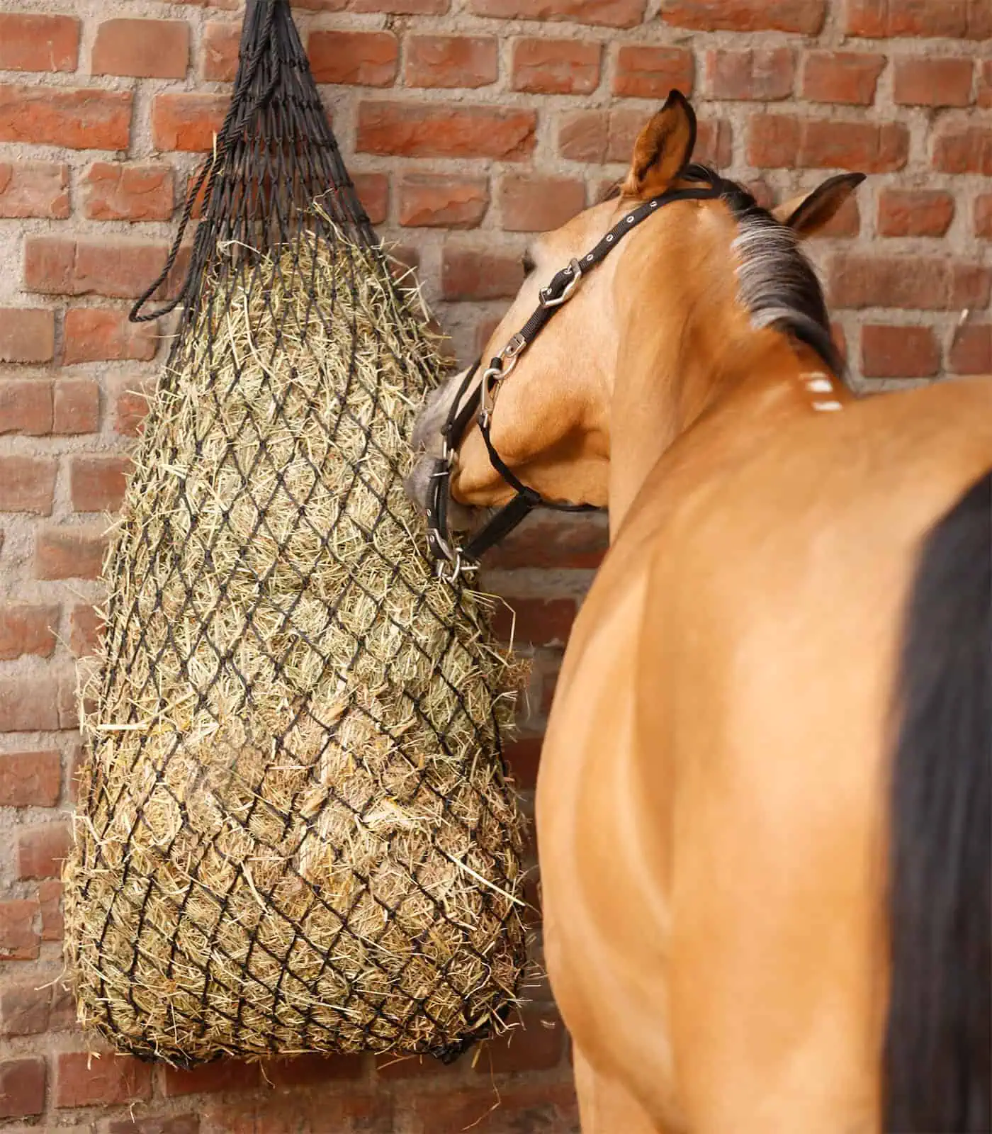 Large hay net black