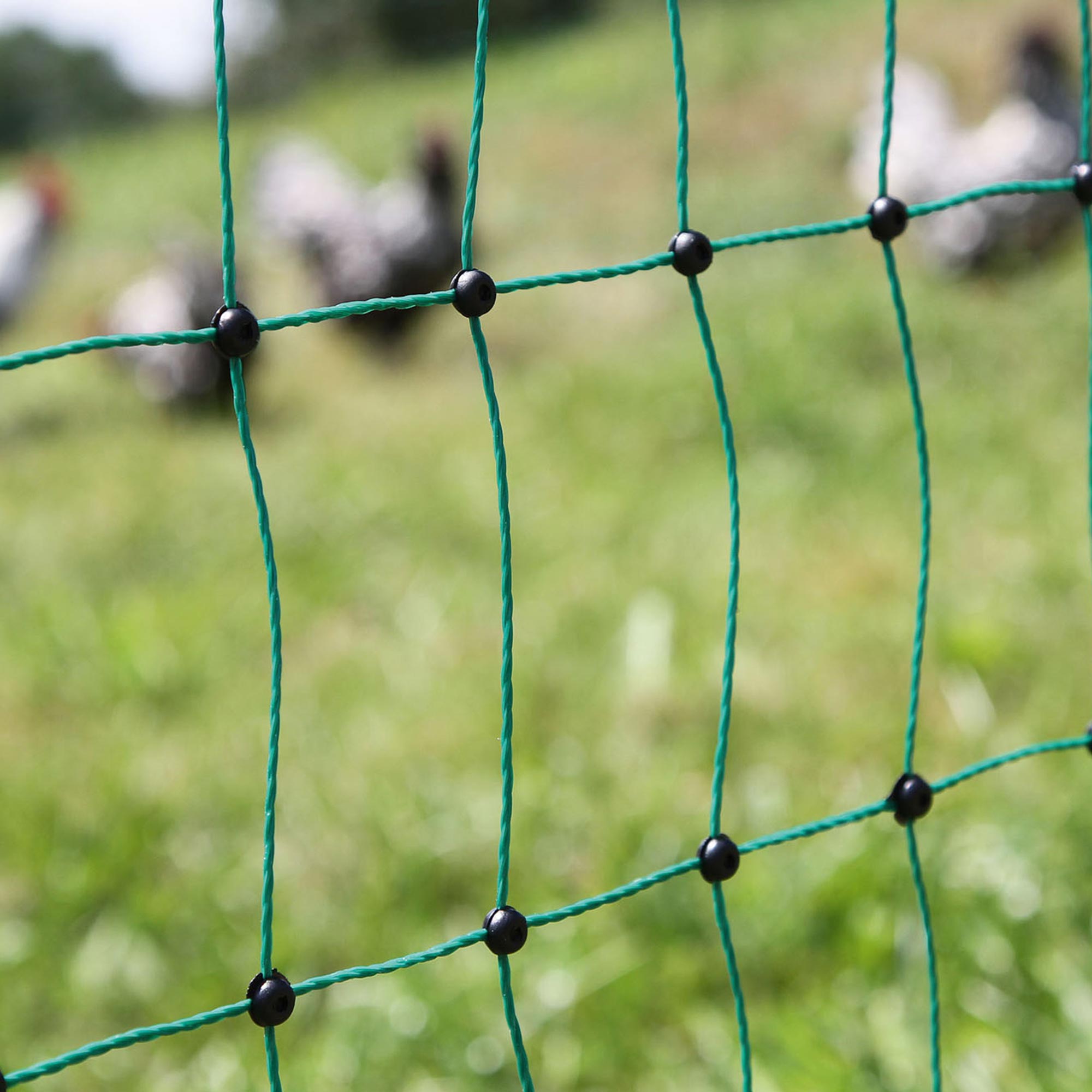 Kerbl Poultrynet plasă pentru păsări de curte verde 112cm