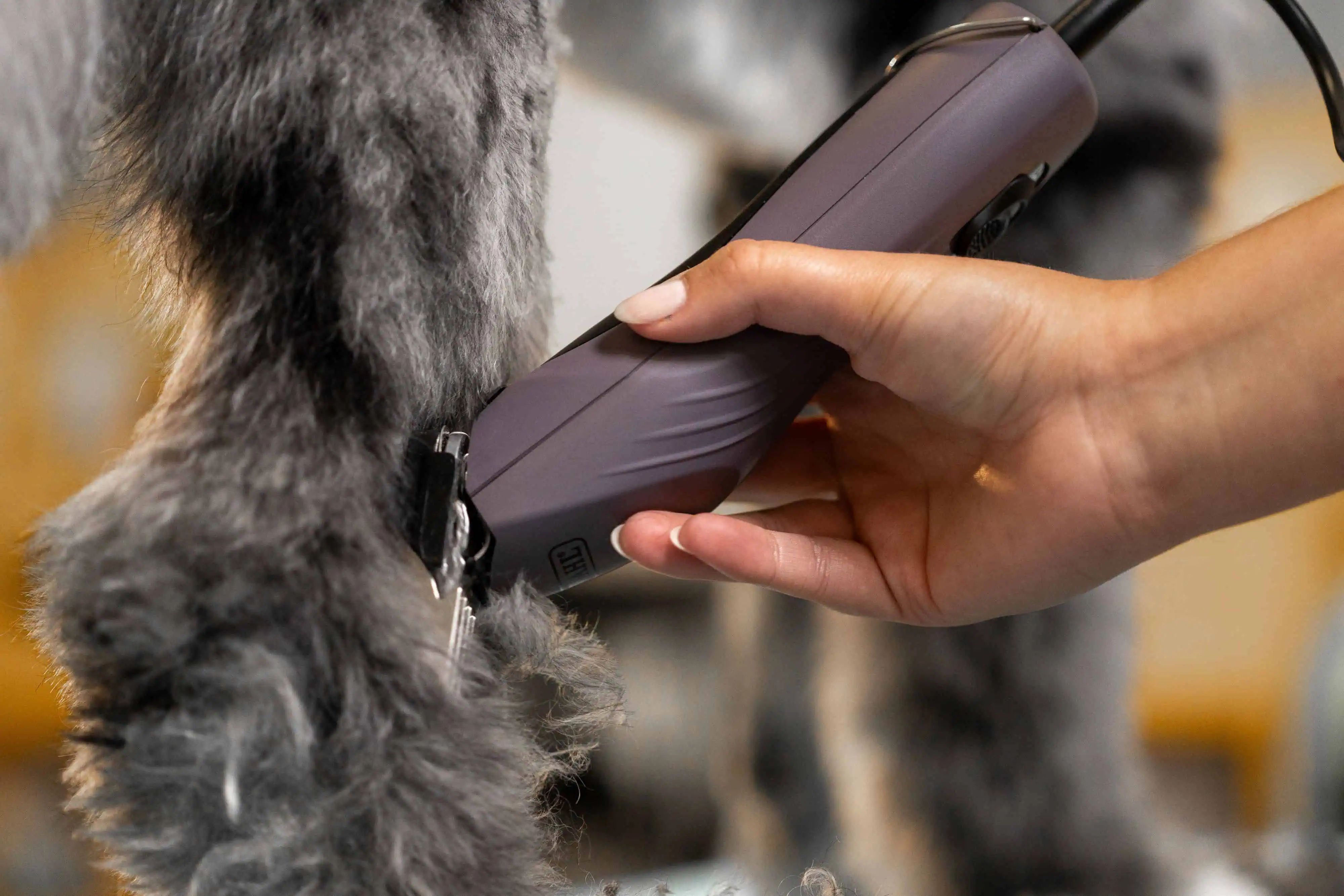 Extremely Quiet for a Gentle Grooming Experience