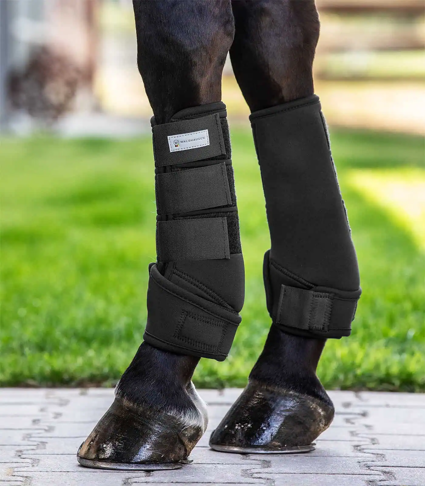 Protect Hind Boot black L Protect Hind Boot black L