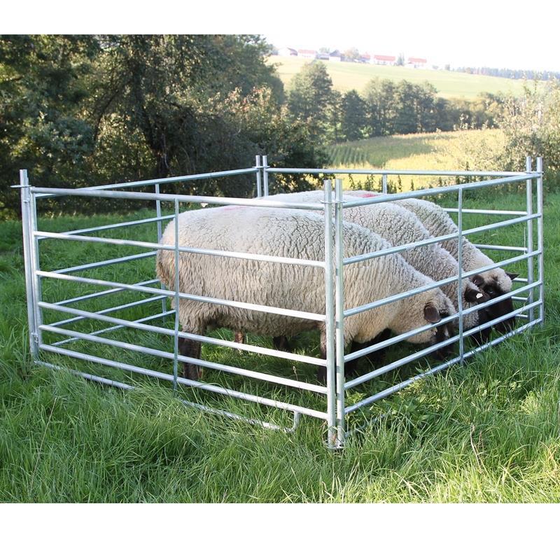 4x panouri pentru oi cu trape pentru miei 1,37 x 0,92 m