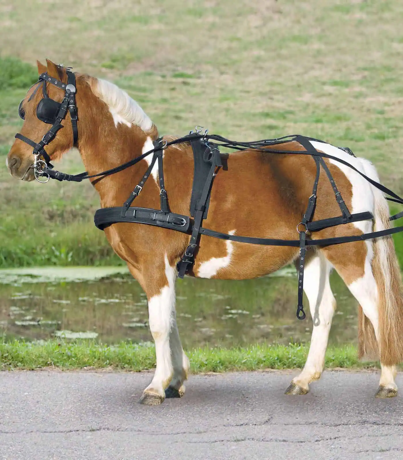 STAR Synthetic Breastplate Single Harness, Pony and Shetty STAR Synthetic Breastplate Single Harness, Pony and Shetty