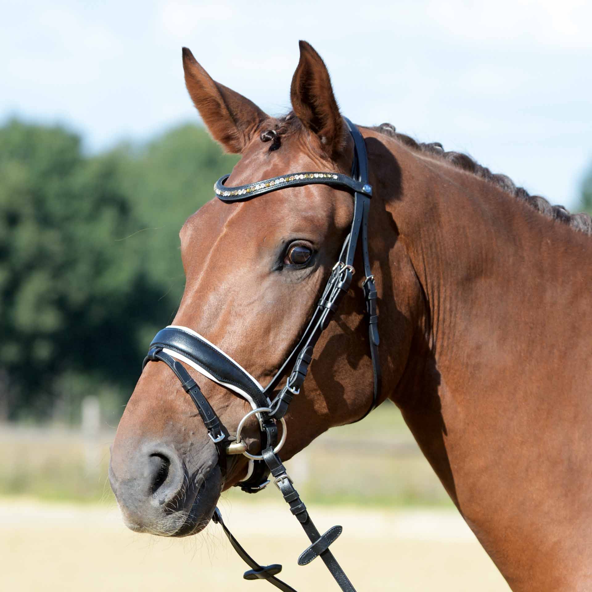 Muștiuc BUSSE Snaffle COMFORT PLUS Ponei alb-negru