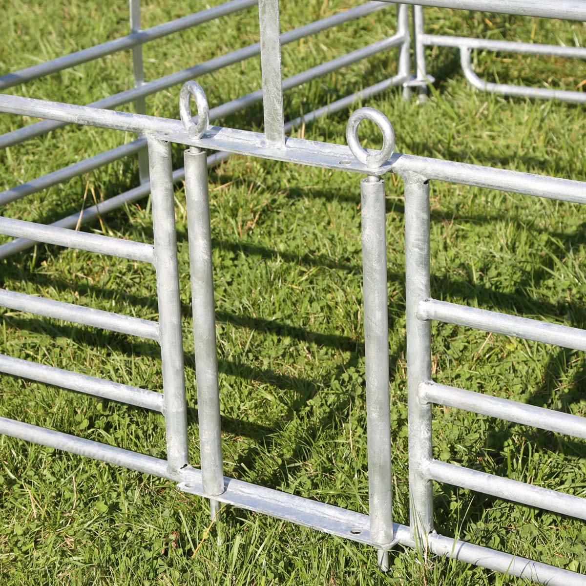 4x panouri pentru oi cu trape pentru miei cu poartă 1,83 x 0,92 m