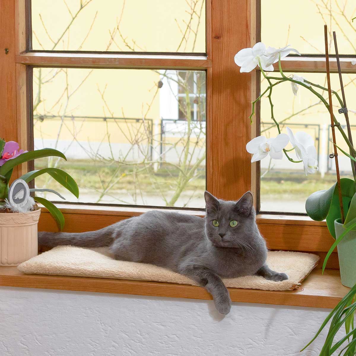 Pernă de fereastră cu încălzire automată pentru pisici