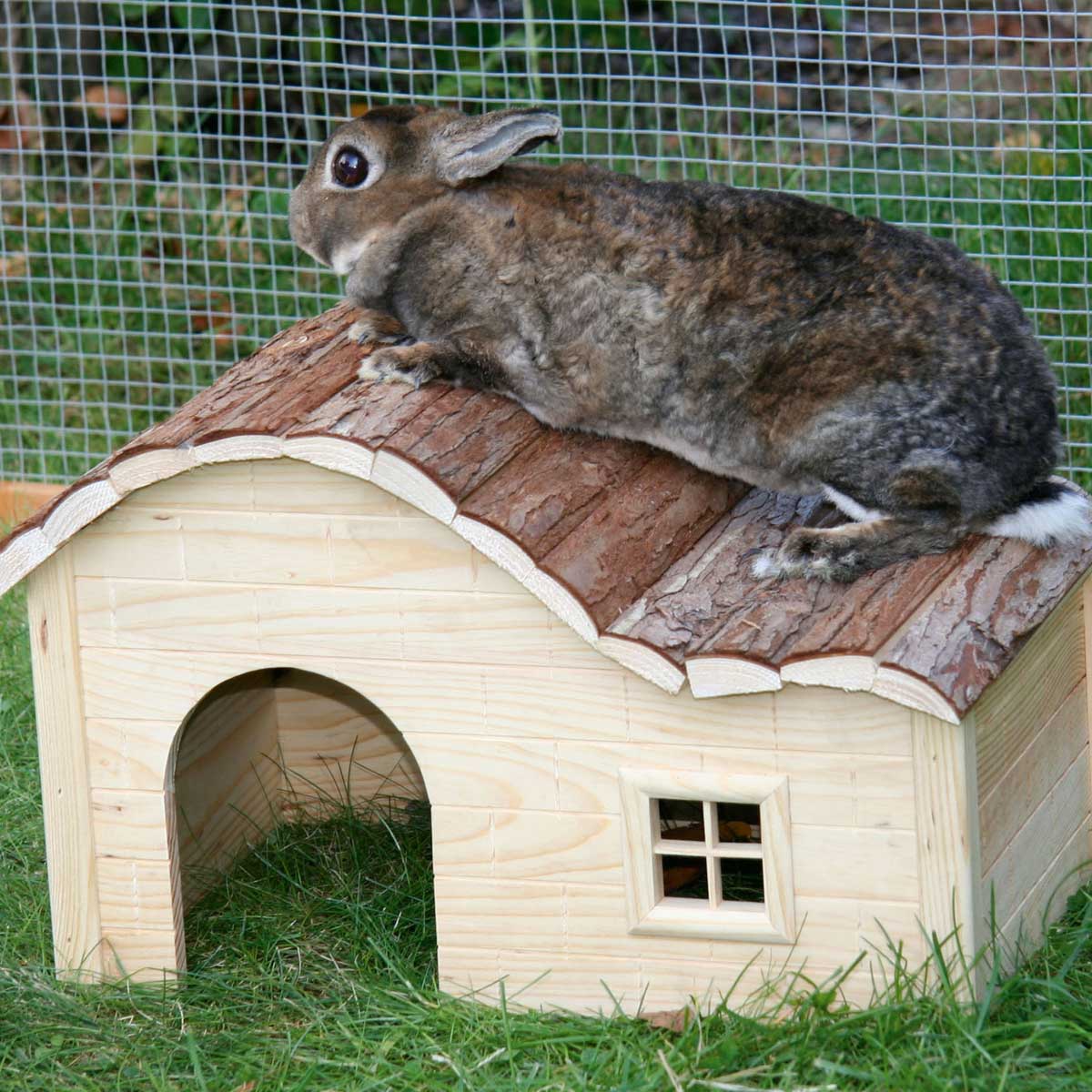 Kerbl NATURE Häuschen Welle 30 x 20 x 20 cm Kerbl NATURE Häuschen Welle 30 x 20 x 20 cm