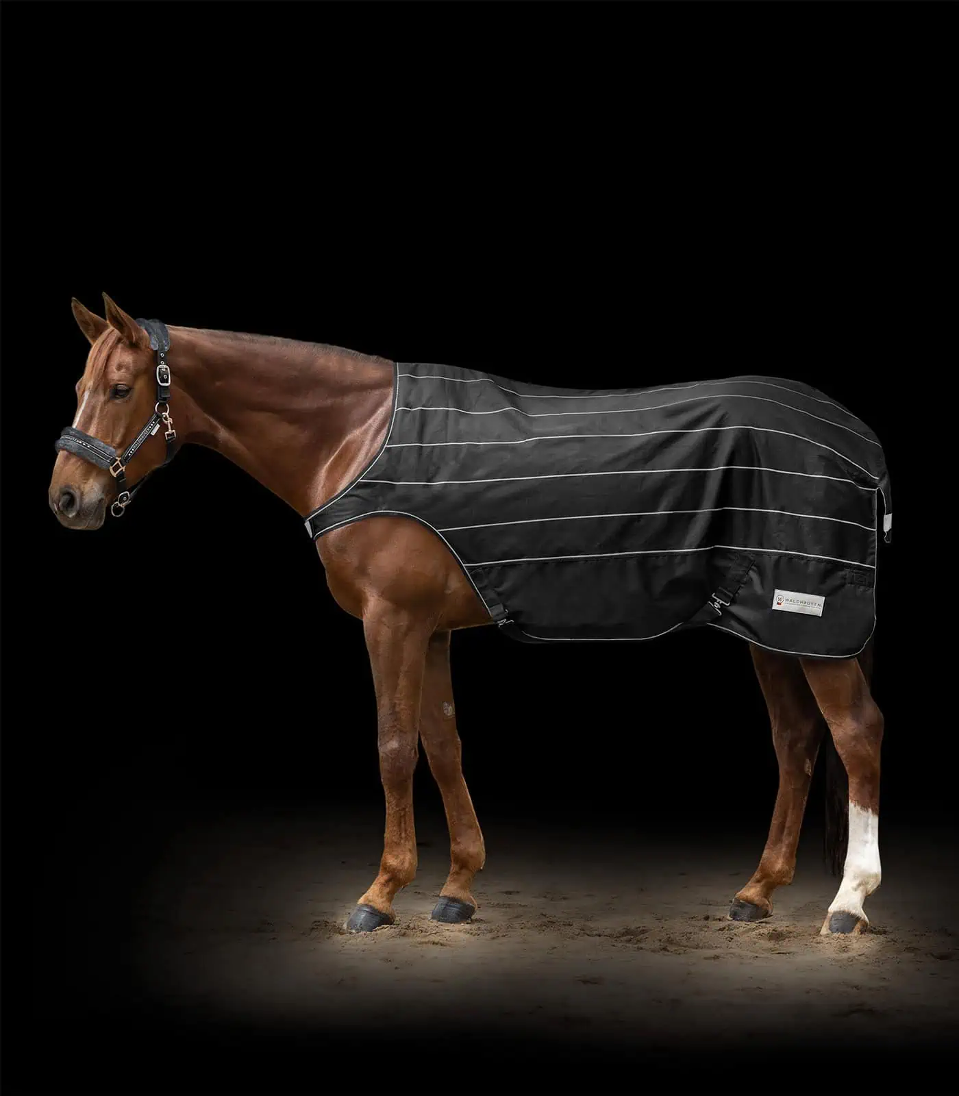 REFLEX Horse Walker Rug black/silver gray 125