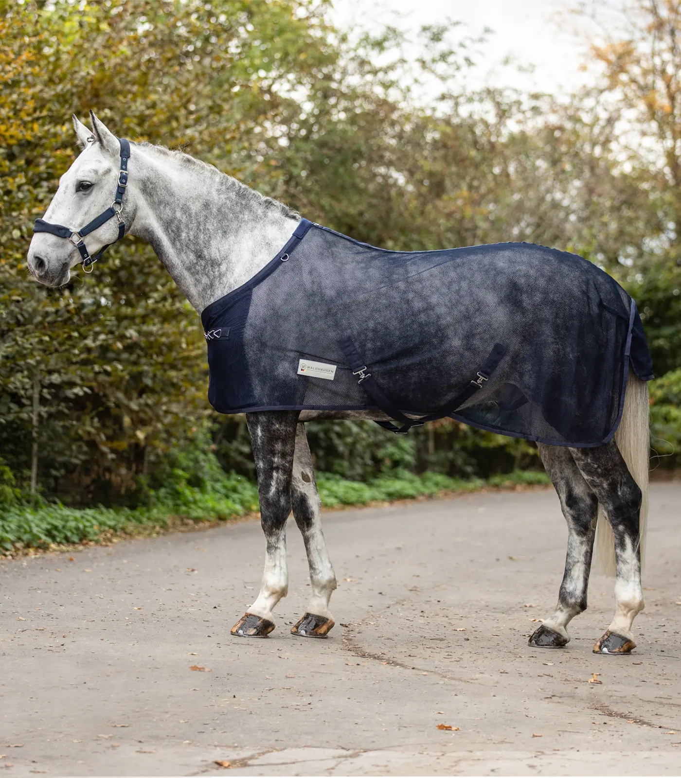 COMFORT Fly Rug with crossover straps night blue 125