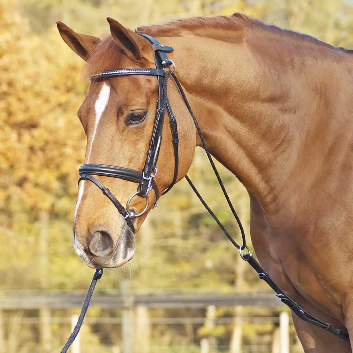 BUSSE frâu auxiliare Chambon BASIC BUSSE frâu auxiliare Chambon BASIC