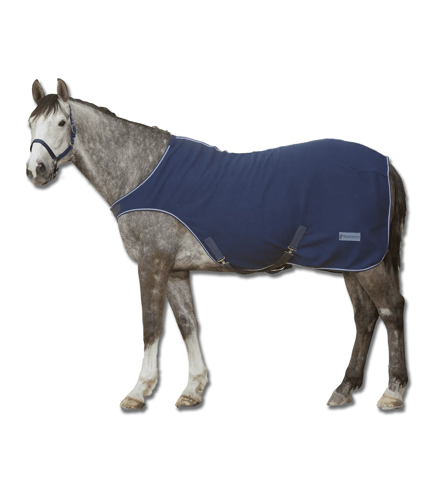 ECONOMIC Fleece Horse Walker Rug night blue 125