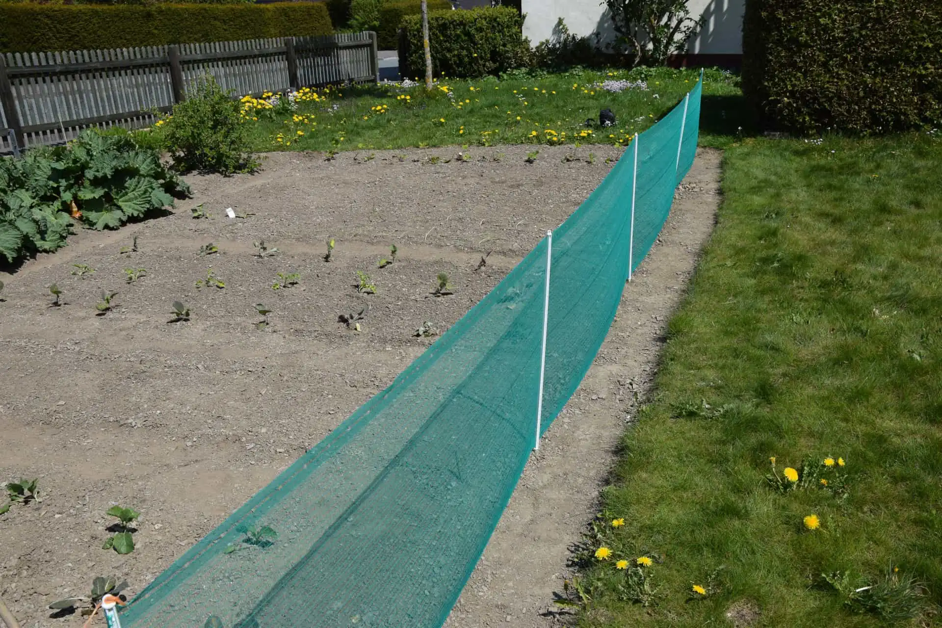Gard universal verde 80cm x 20m
