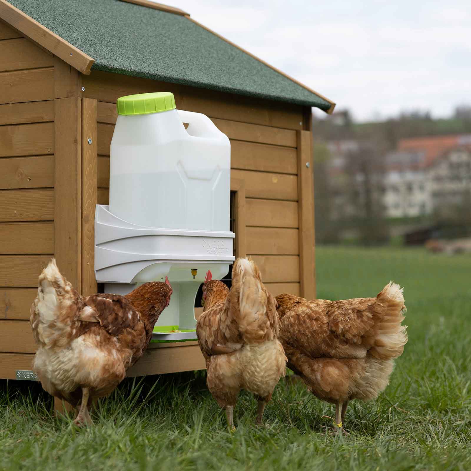 SmartCoop Poultry Drinker 10 litri