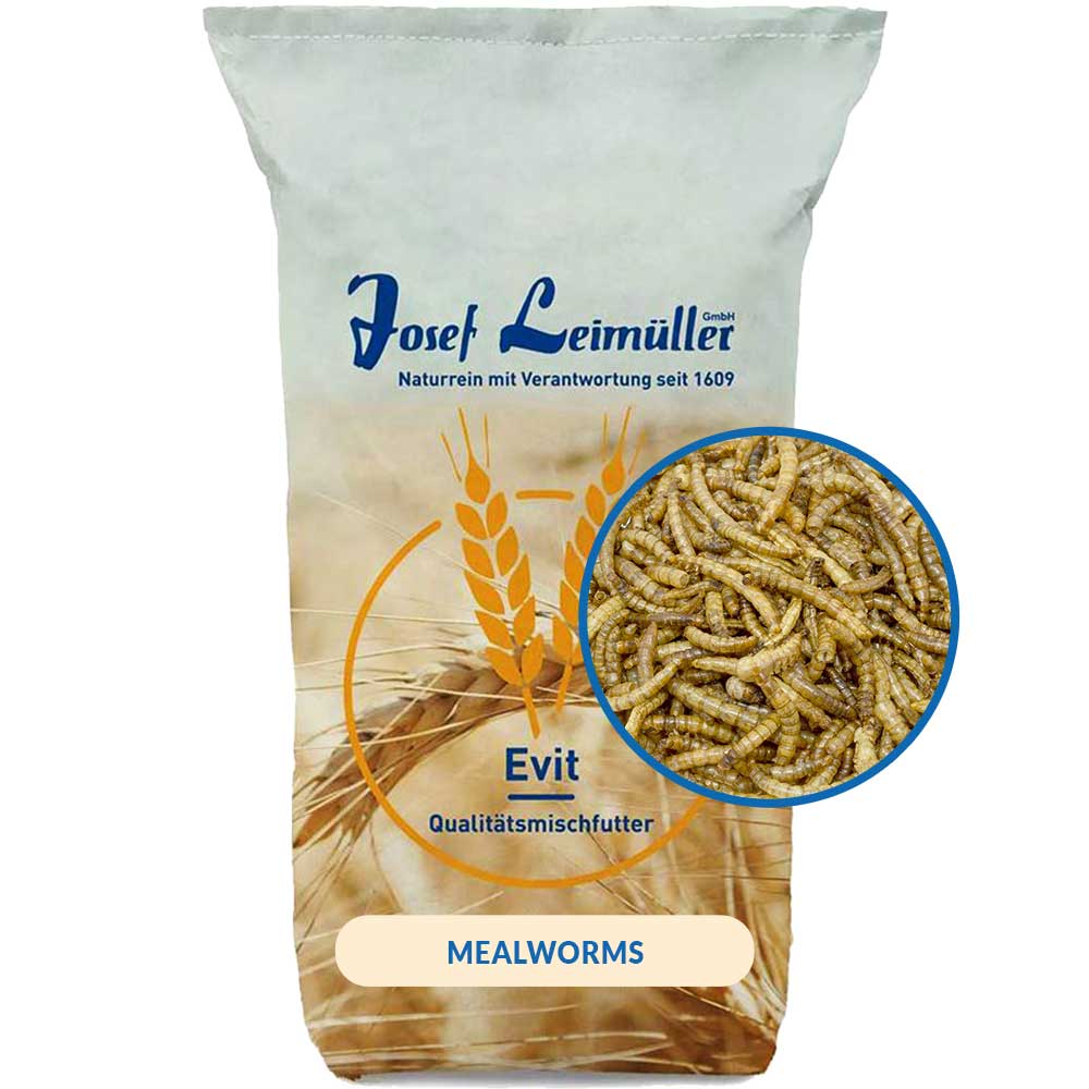 Leimüller viermi de făină uscați 10 kg
