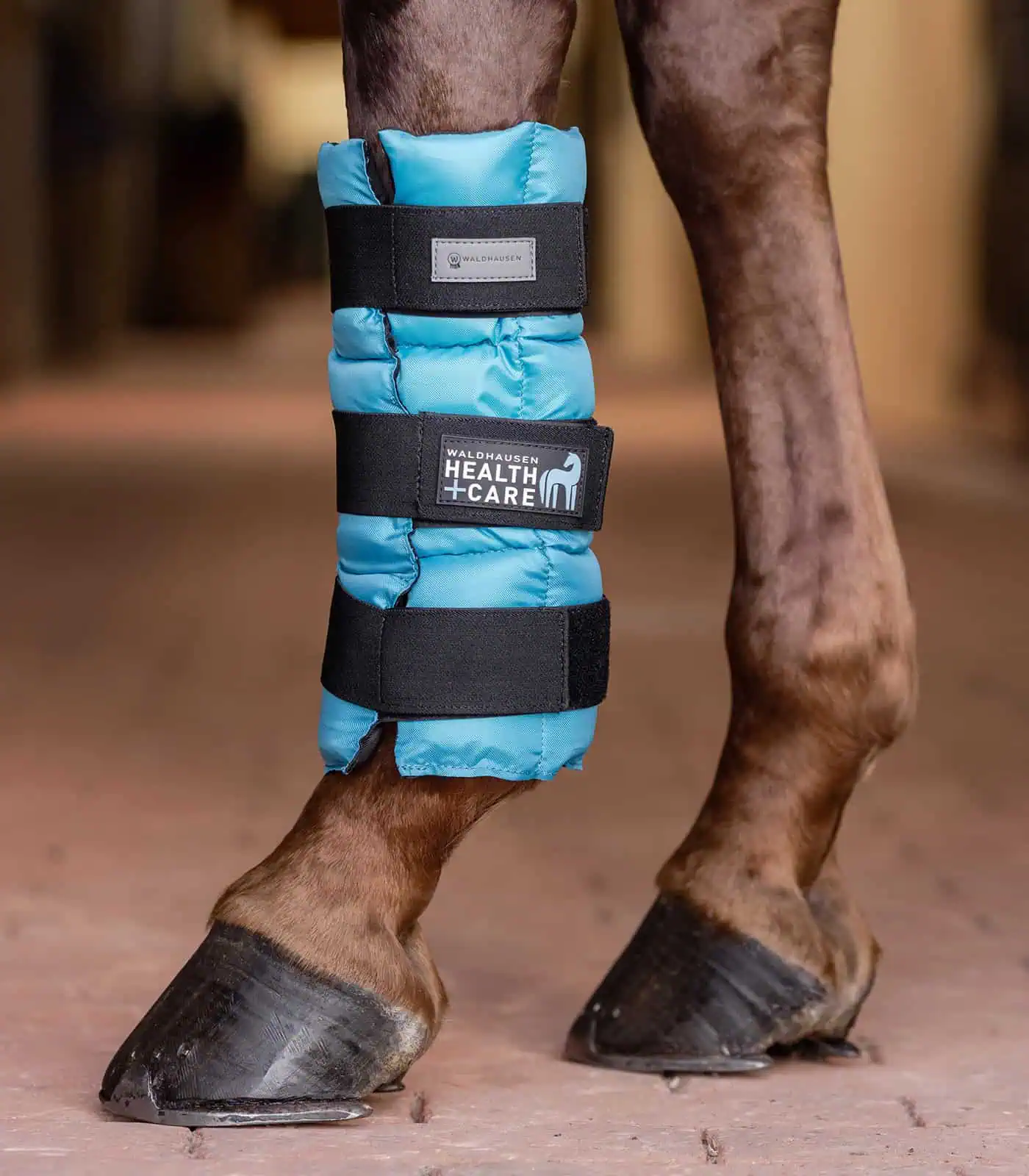 Cooling Boot, piece petrol Pony