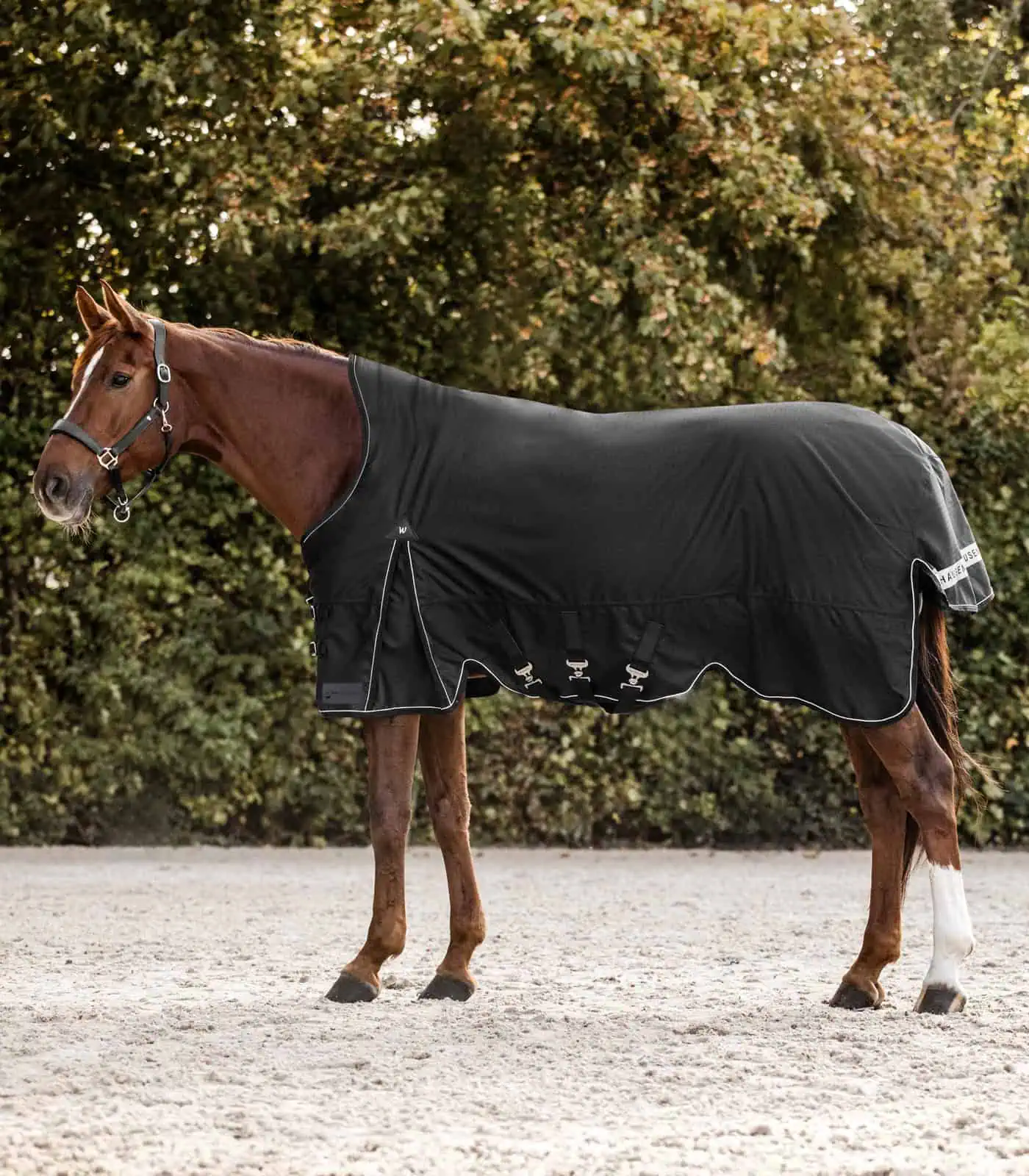 SCANDIC Turnout Rug, High Neck, Light black 125