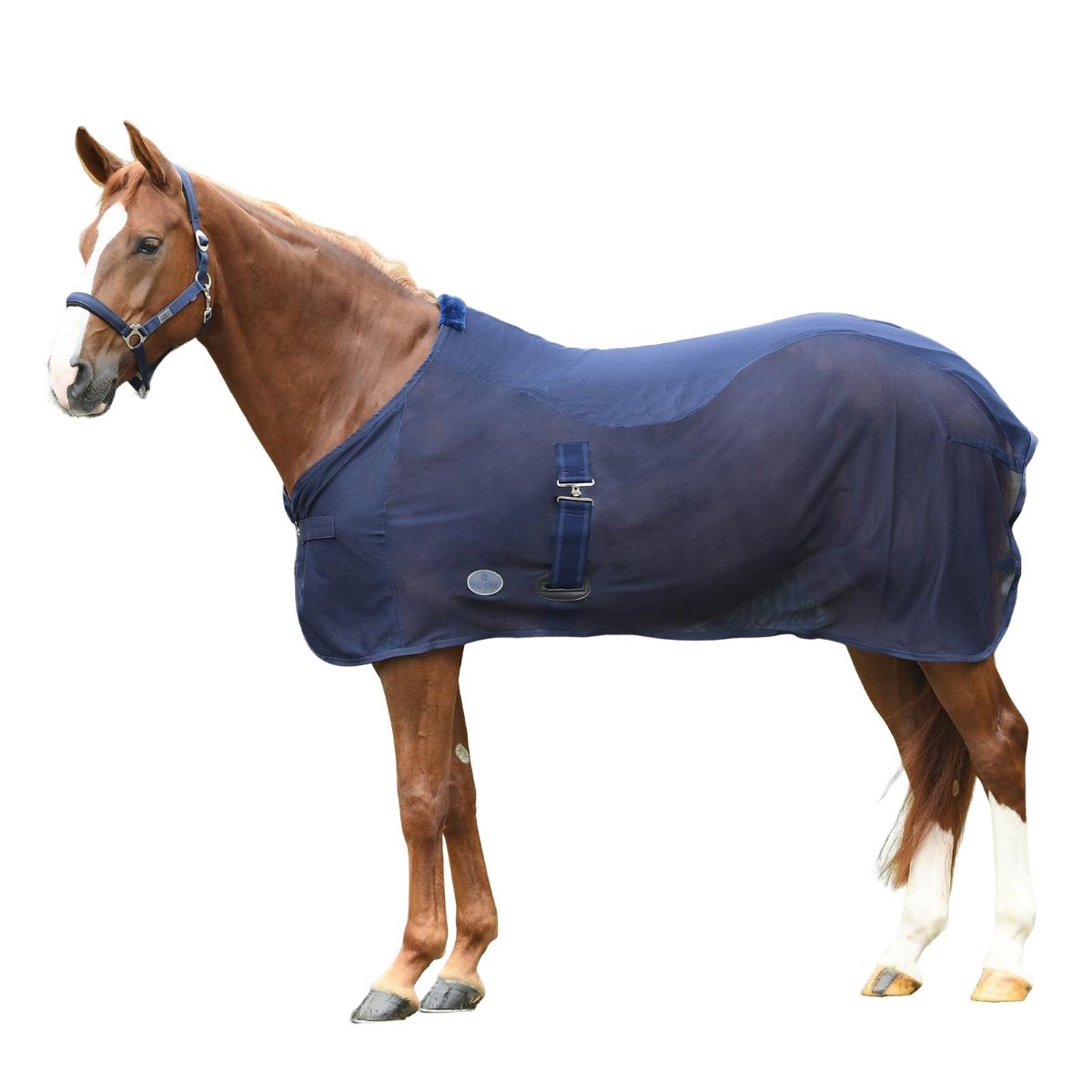 BUSSE pătură de transpirație SUMMER-FLY II marină 125 BUSSE pătură de transpirație SUMMER-FLY II marină 125