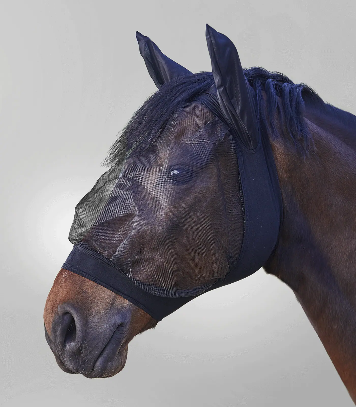 Skinny fly mask black Pony