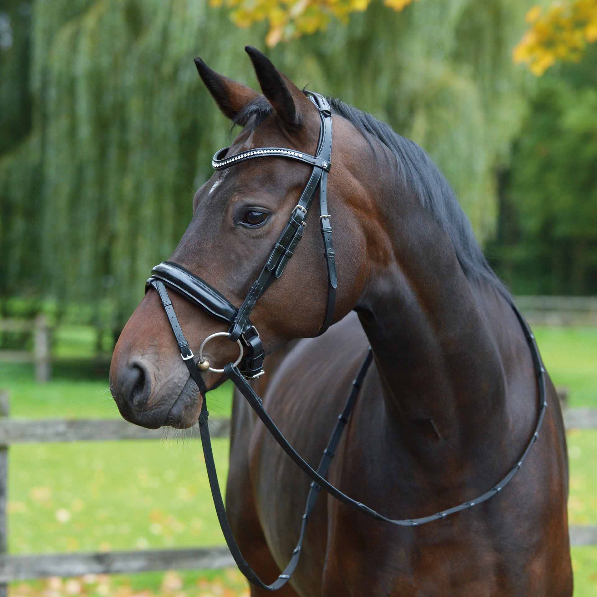 BUSSE Snaffle MONZA COB negru BUSSE Snaffle MONZA COB negru