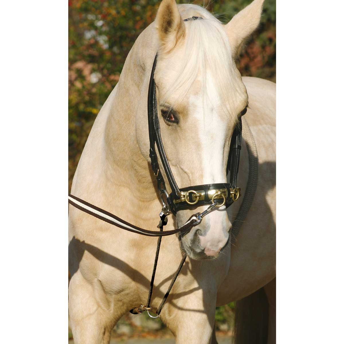 BUSSE frânghie auxiliară lonjare COTTON BUSSE frânghie auxiliară lonjare COTTON