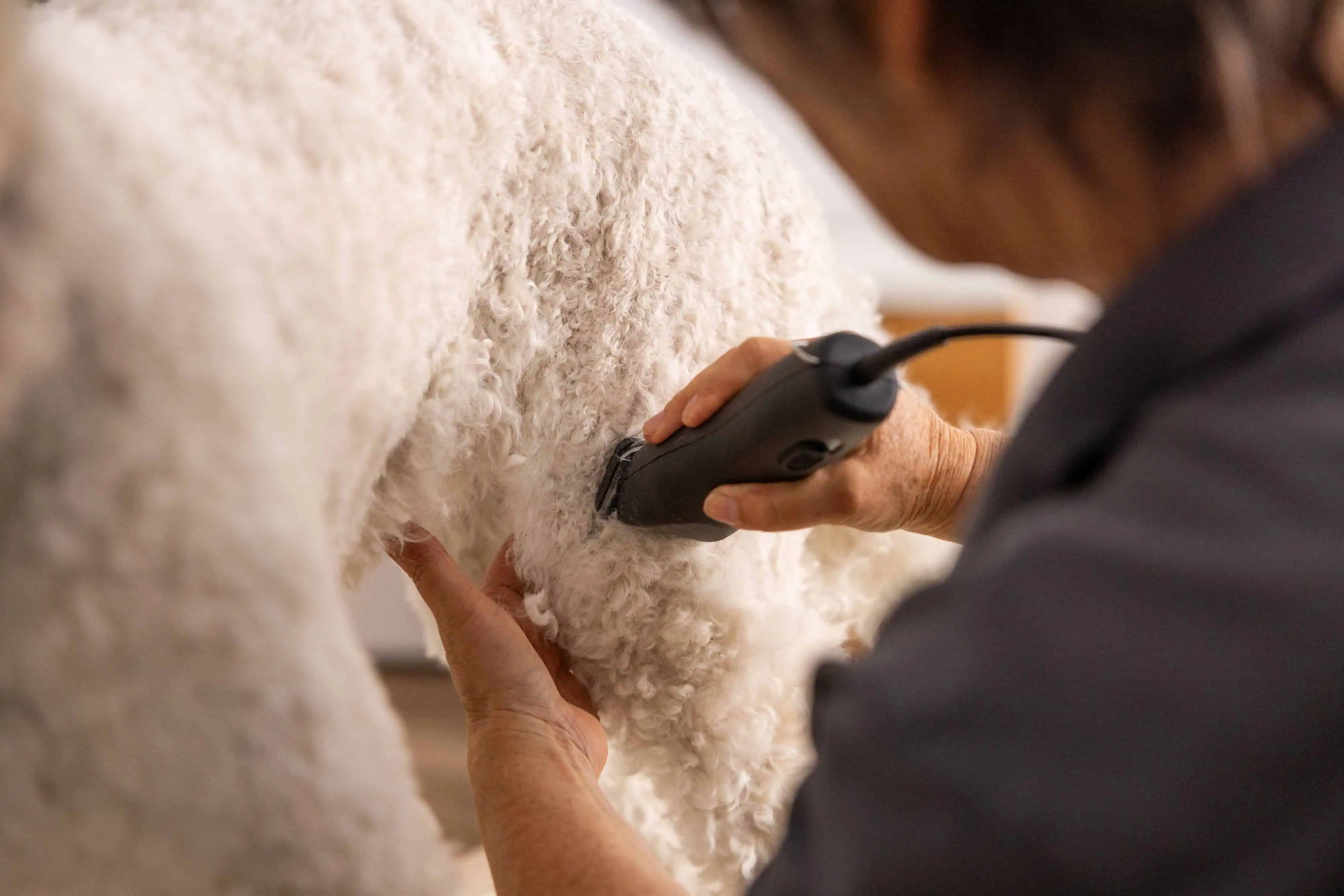 Superior Performance