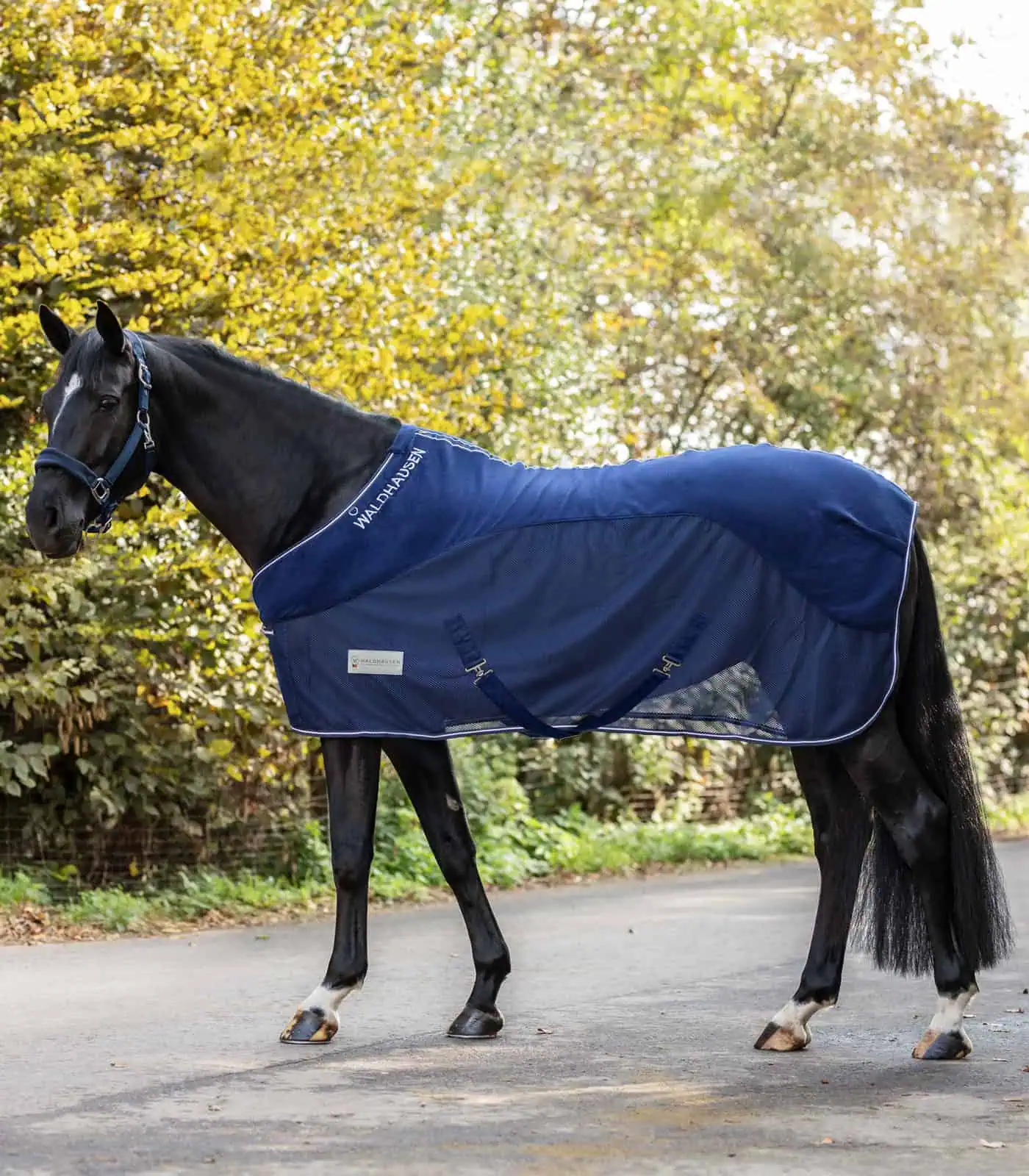 COMFORT Fleece Fly Rug night blue 125