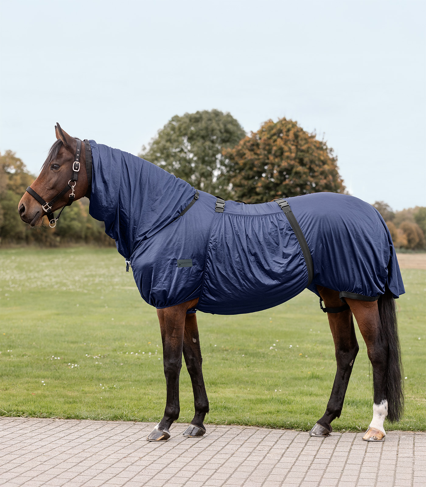 Waldhausen Eczema Blanket Basic, midnight blue, 115 cm