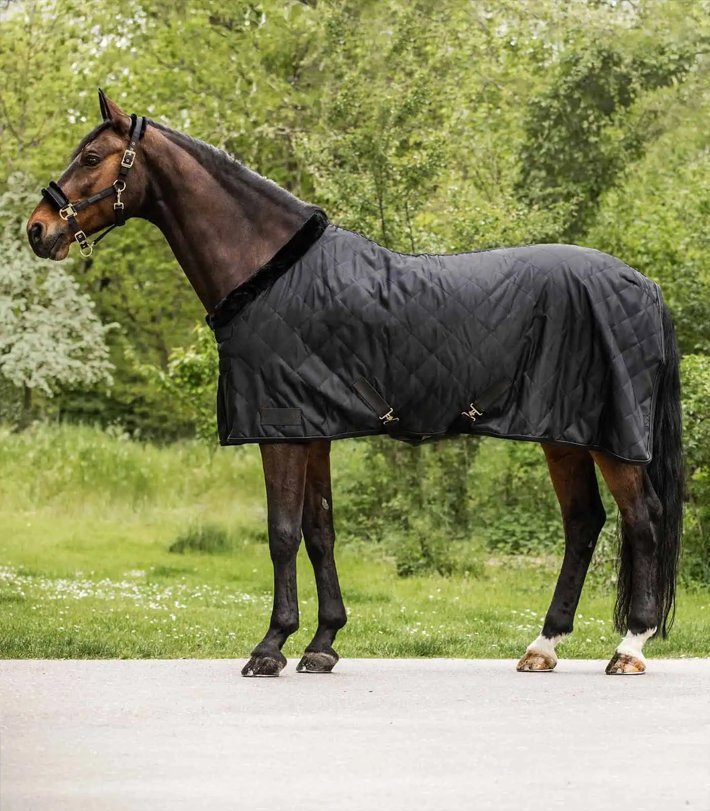 Exclusive Travel Rug black 125 Exclusive Travel Rug black 125