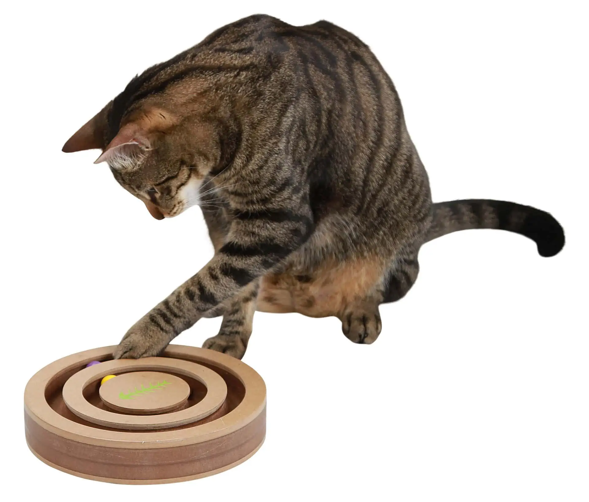 Jucărie de gândire și de învățare Excitantă pentru pisici 20x9cm