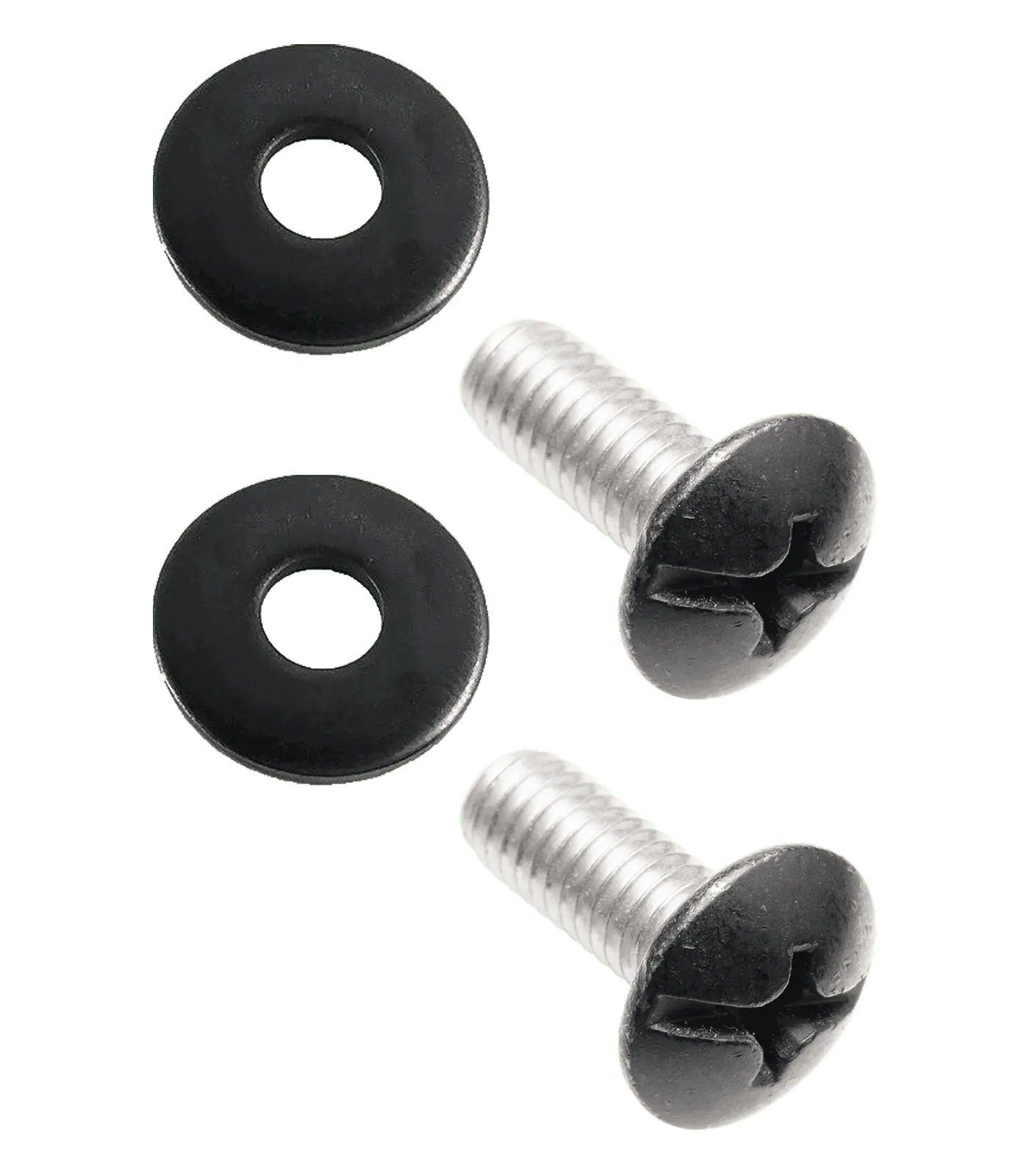 chamber screws, pair with washers 