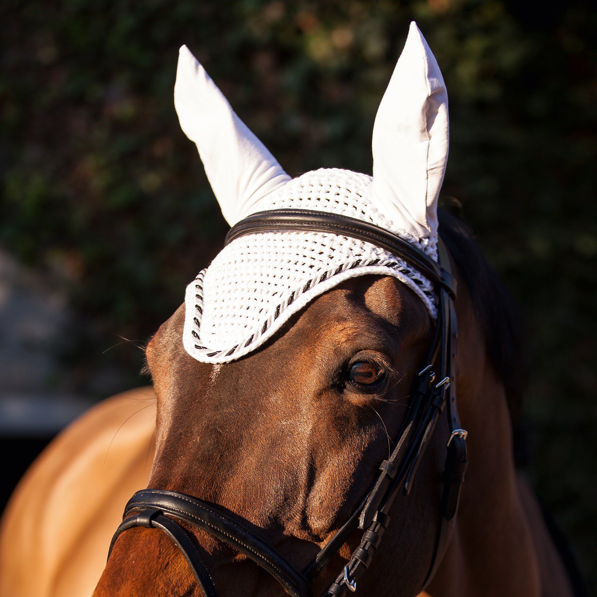 Covalliero mască protecție urechi pentru cai albă
