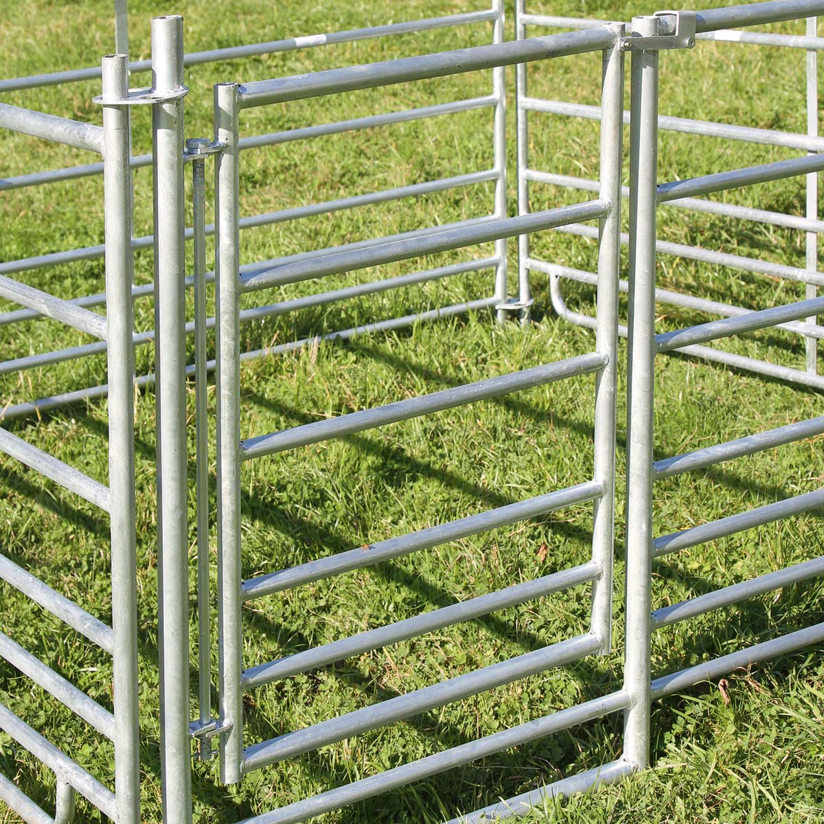 4x Panouri pentru oi pentru miei cu poartă 1,83 x 0,92 m