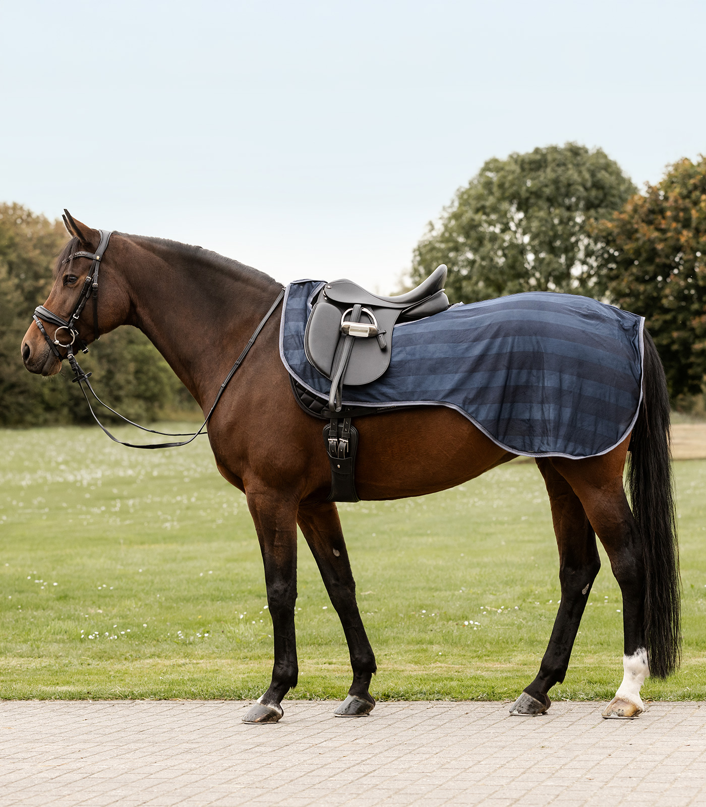 Waldhausen Fly Riding Rug Economic, midnight blue, COB