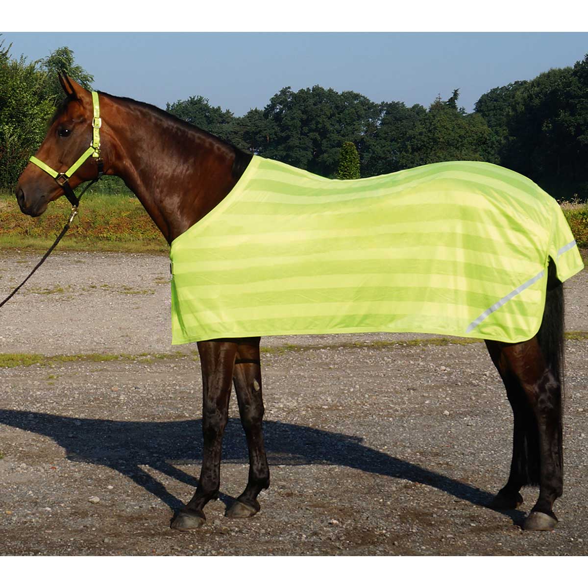 BUSSE REFLECTION pătură reflectorizantă pentru cai  155 cm