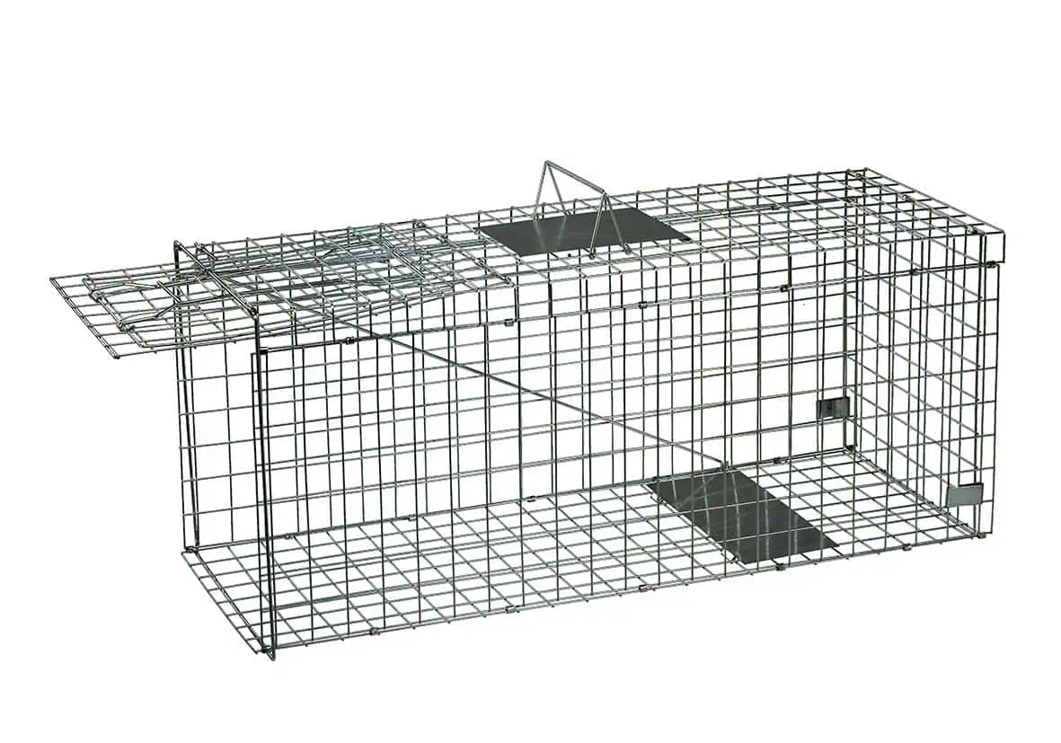 Agrarzone Foldable Box Trap