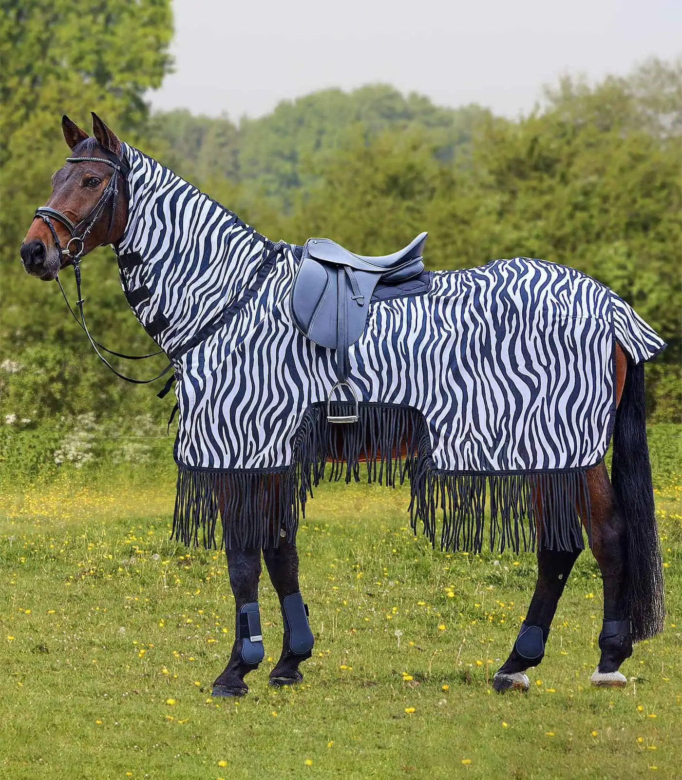 Zebra exercise fly sheet with fringe black-and-white 125