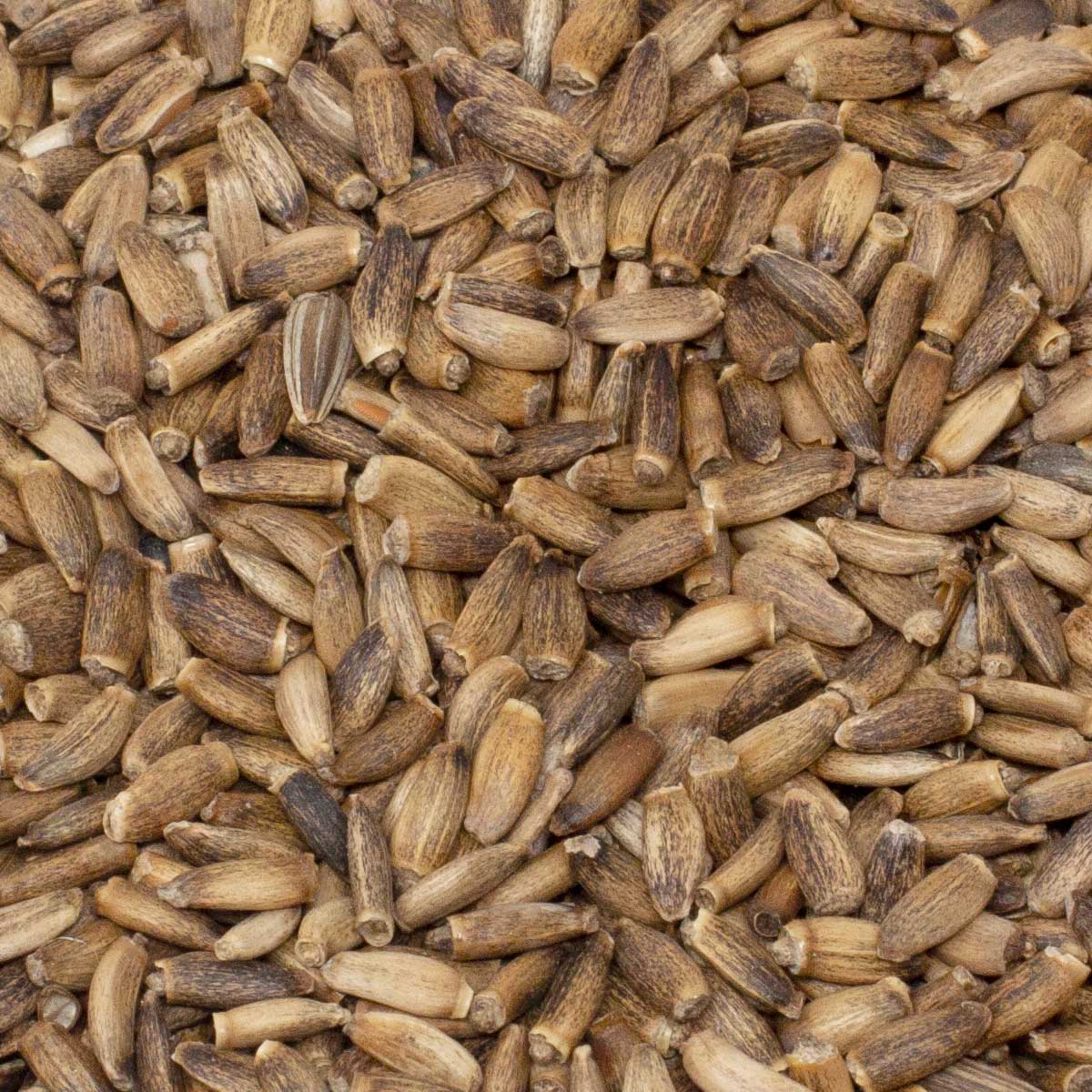 Leimüller semințe de ciulin 2 kg