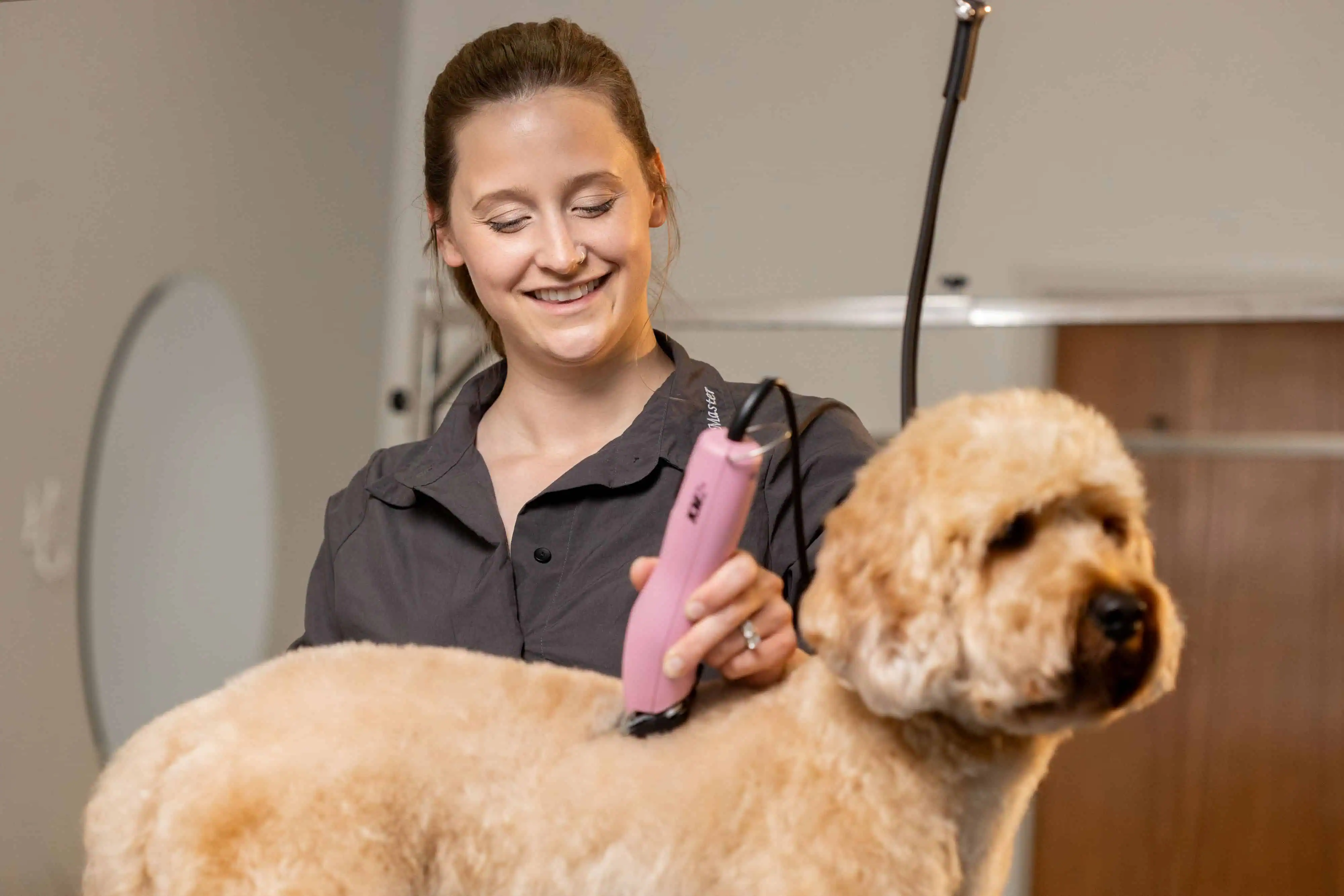 Quiet Operation for Stress-Free Grooming
