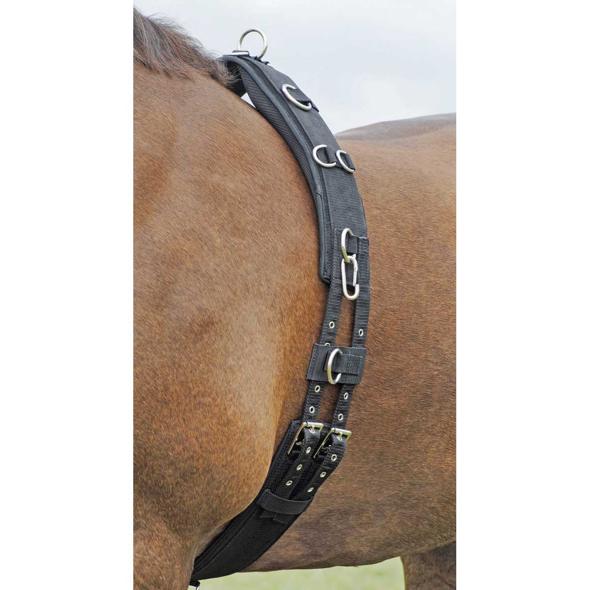 BUSSE centură lonjare PROFI-SOFT BUSSE centură lonjare PROFI-SOFT