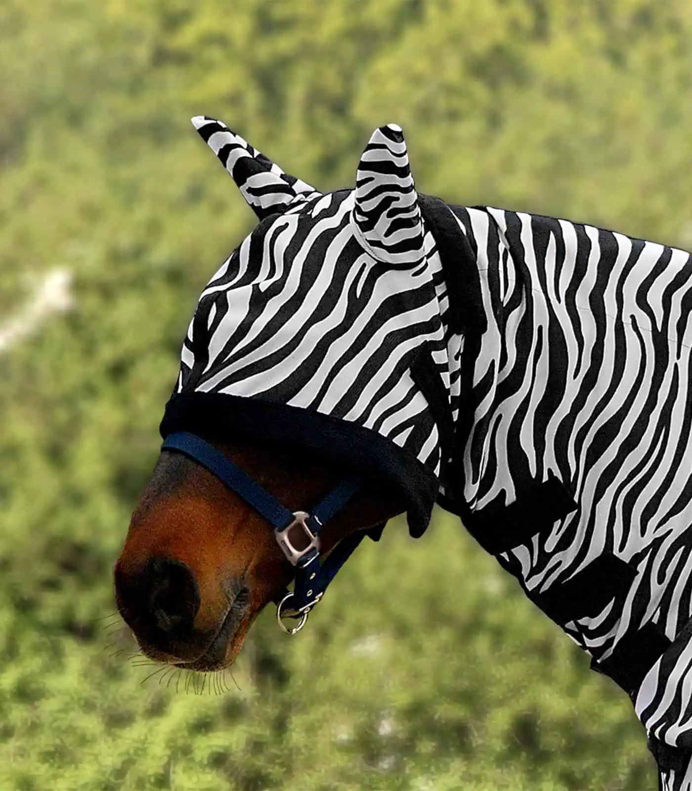 Fly mask Zebra black-and-white Pony Fly mask Zebra black-and-white Pony