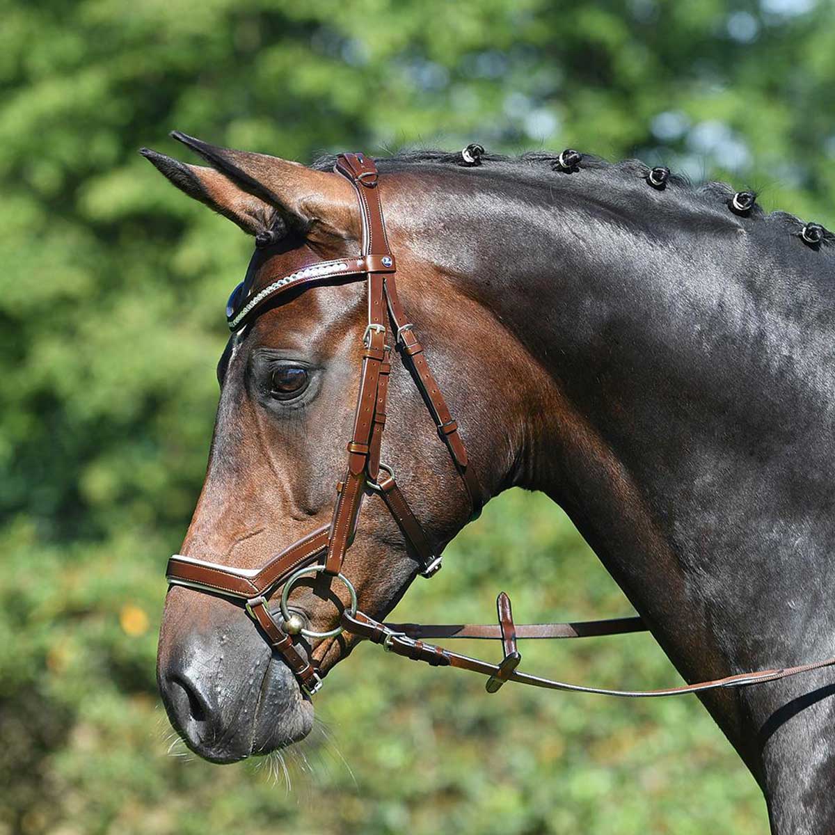 BUSSE căpăstru MODENA aluniță/cristal COB BUSSE căpăstru MODENA aluniță/cristal COB