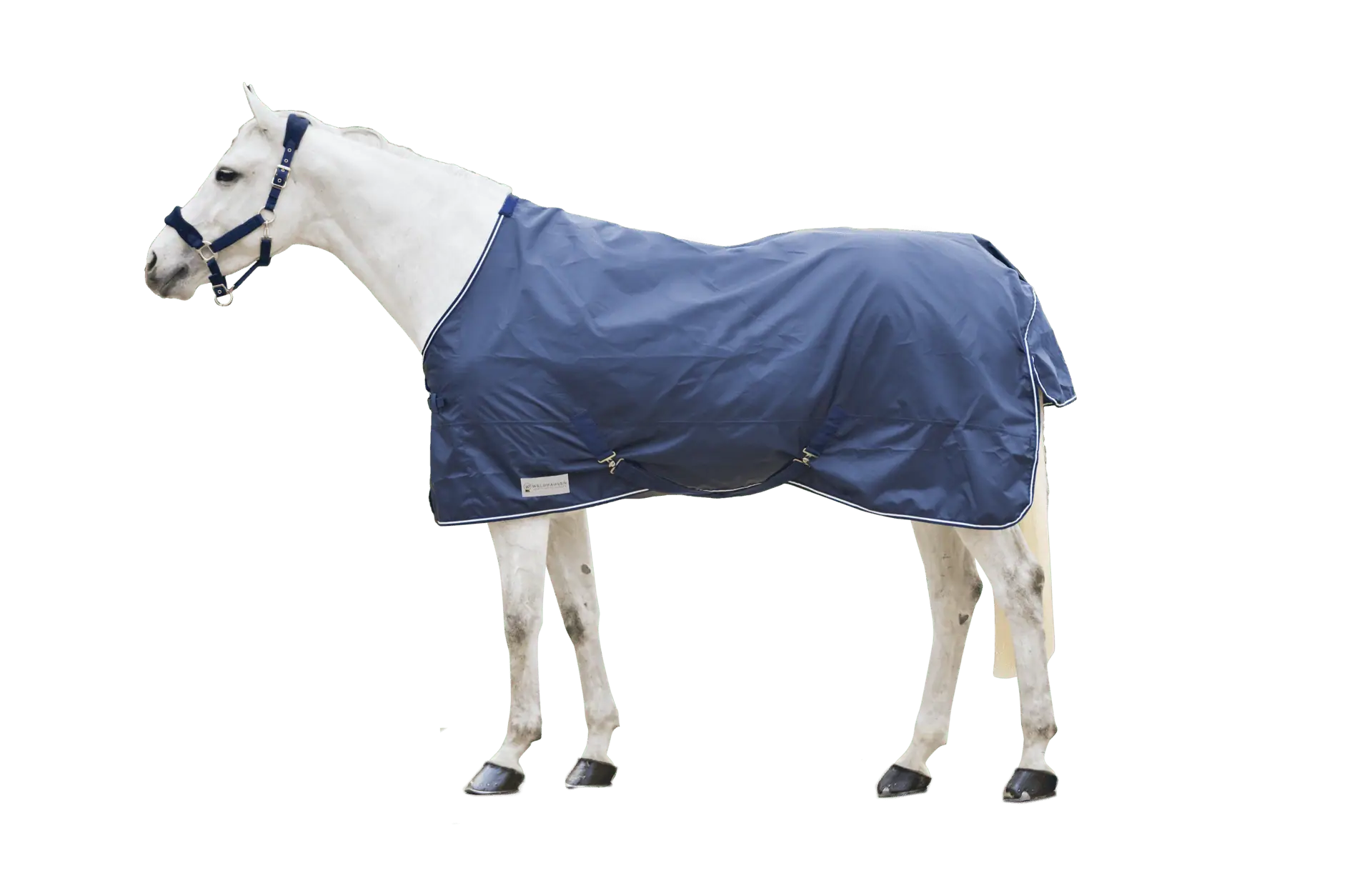 ECONOMIC turnout rug night blue 115 ECONOMIC turnout rug night blue 115