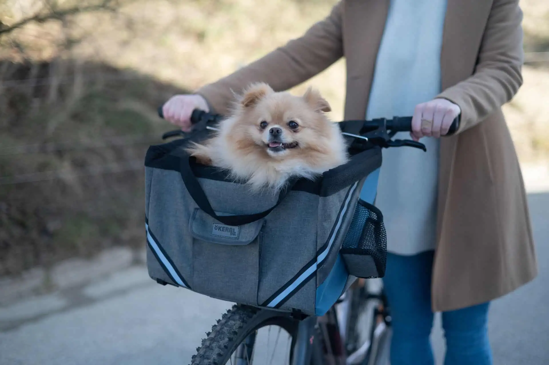 Sac de transport pentru câine pentru bicicletă Vacation 38x29x25cm, gri/albastru
